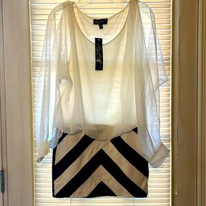 Allen Schwartz Blouse and Skirt combo Sz Medium